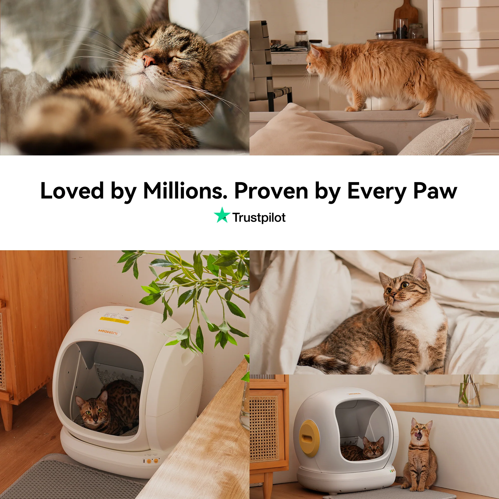 Meowant Self-Cleaning Cat Litter Box - MW-SC02 - Image 10